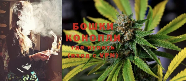 прущая мука Няндома